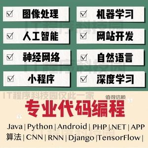 计算机程序设计java代做php网站app编程vue深度学习nlp算法python